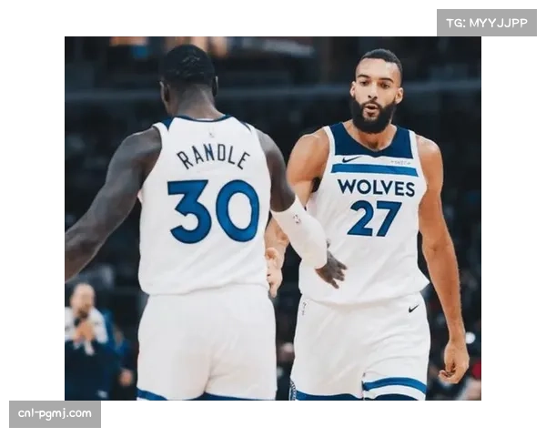 森林狼公布首发：康利、迪温琴佐、多森姆、兰德尔、戈贝尔